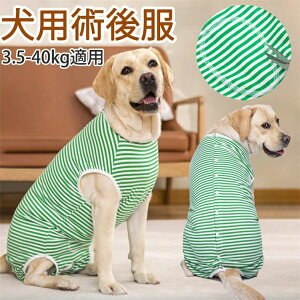 ̕ { ̉앞앞 /畆/ی pEFA p p㒅 p Dplr   D Yp 