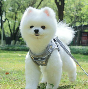 o| ybg `FbN ybg RXvߑ hbOEFA lRxXg \tg bV { Ȃ ϑ  B