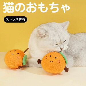 {[  lR L IW XgX ybgpi Lbg {[ ݂ ނ I` ߋ 