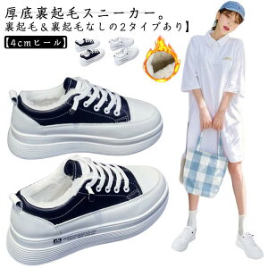 fB[X 傫TCY  zCg JWA Xj[J[ ʋ ₷ EH[LOV[Y EB^[ ~ ʊw N