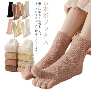 �g���� �a���� �N���X�}�X ����Ȃ� �H�~ �g���� �h�� �������� �X�L�[ ���� �ܖ{�w�C�� �C�� 5�{�w�\�b�N�X ������ �₦���