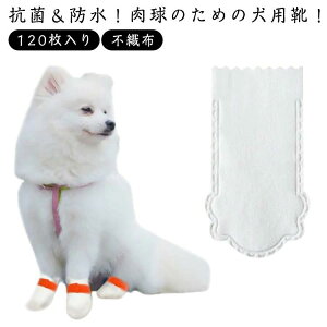 PKh~ Jo[ C Jo[  ی ̌C pC ̃V[Y h~ 120 ĝ ybgC h ho ی