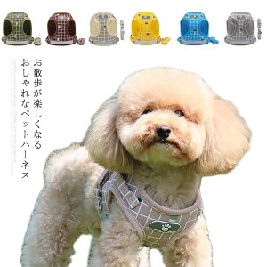 􂦂 L[g p[h ^ ȒP ^ P U o| tďH~p ̕ m EFAn[lX y Lp