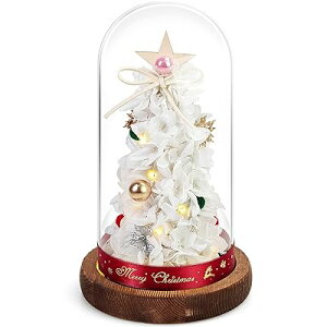 NX}Xc[  vU[uht[ ͂Ȃ KXh[ dr LEDCg NX}X  킢 ͋CX Mtg NX}Xv[g 