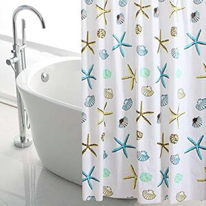 V[J[e hhJrH J[eOt V[[pJ[e J[e oX[ oX^u Ot C ̖ډB (qgf, 120×180cm)