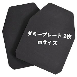 _~[v[g 2 30x24x2cm v[gLA ToQ[p ^NeBJxXg EVA tH[ A[}[ v[g mTCY