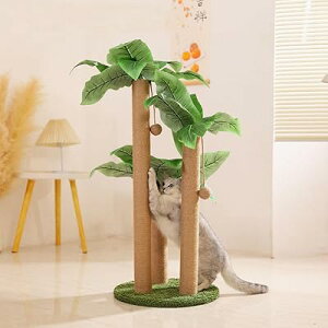 L܂Ƃ|[ L ܌ }`L Vѕ L߂Ƃ XNb`|[    40-80cm ||t qL琬L܂