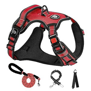  n[lX p ߉\ Ԕ ^/^/^ ʋC bV s⏕ U p y S  h~ hbO Č Hc (, S)