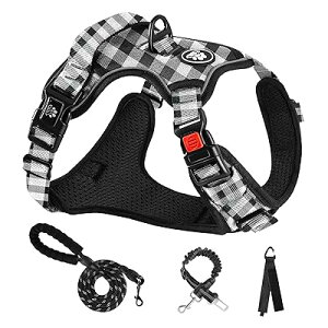  n[lX p ߉\ Ԕ ^/^/^ ʋC bV s⏕ U p y S  h~ hbO P Č Hc (L,ubNiq)