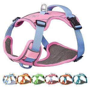  n[lX ^n[lX ^n[lX ^n[lX p  hbOEGA h~ Ԕ p \ ȒP  UisNLj