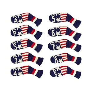 StACAwbhJo[ 10 Zbg  킢 {IɌČ` \ ϋv StNuwbhveN^[ o[Vujbgiԁj