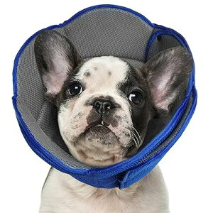 GUxXJ[  L \ ʋC y _炩Ck J[ rߖh~ ~h~ ی pPA ^ u[ S