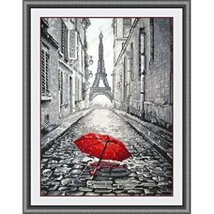 Paris in the rain,J̃pAJEgNXXeb`Lbg 135x200 points,35x47cm RbgNXXeb`Lbg NXXeb`