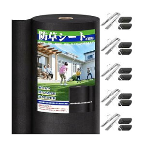 hV[g 1m×50m V[g sDz hV[g 10Nϋv  ϋv x ڂ[ hV[g  Gh~V[g Hp |p lHŉ Œs50{ƍ50t