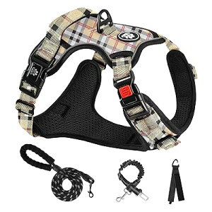  n[lX p ߉\ Ԕ ^/^/^ ʋC bV s⏕ U p y S  h~ hbO P Č Hc (x[W+iq,L)