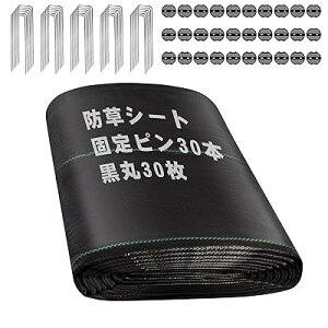 hV[g 1m×20m V[g hV[g Œs ڂV[g 10Nϋv  x  ϋv G΍ Gh~  ʘH  |p Hp