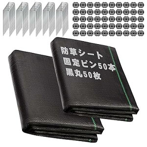 hV[g 1m×30m V[g hV[g Œs ڂV[g 10Nϋv  x  ϋv G΍ Gh~  ʘH  |p Hp