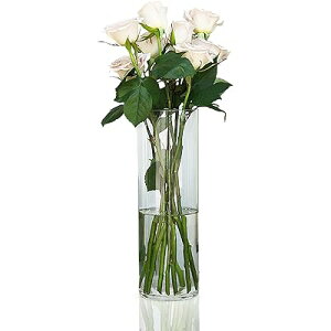 ԕr Ȃ,݂̂ԕr,Ԋ,rOAQAItBXȂǂ̑ɓKĂ܂ (40x10CM)