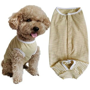 PET p㕞 qbvpc pc ی앞 Yp D IX  ی 畆a ʋC ^ ^ (N[AXS)