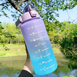 {g  e 2L^C}[J[t y 2000ml gѕ֗ Rh~ BPAt[ jp l qǂ AEghA X|[c oRp Lv jO W nCLO ] (2000ml,purp