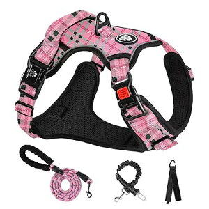 �� �n�[�l�X ���p���� ���߉\ ��Ԕ��� ���^��/���^��/��^�� �ʋC�� ���b�V�� ���s�⏕ �U�� �����p �y�� ���S ������� ��������h�~ �h�b�O �P�� �Č� �H�c�� (�s���N+�i�q,L)