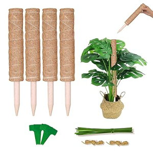 | Ax 4{Zbg wSx AT|[g Xe 鐫 ϗtA  {ێ K[fjOx Ԏx(4)