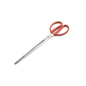 JjpnT~ Nv ~  XeX Jj Nv ^EiM hWE S~͂ (^Cv3 2{Zbg)