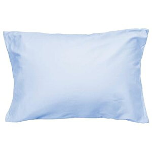 Jo[ 100 TeD 300{xn h_j R hL zei  炩 _炩 s[P[X Iׂ9F 4TCY n Cgu[ 43×63cm