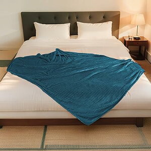 ѕz _utFCXWJ[h tl|zc Ch䕿 G_炩 ÓdCh~ @Ή I[V[YΉ Kۉ(200x230cm, IEO[)