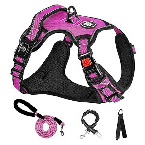  n[lX p ߉\ Ԕ ^/^/^ ʋC bV s⏕ U p y S  h~ hbO P Č Hc Zbg([Ybh,M)