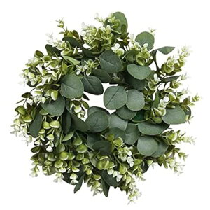 [X  hA`[ ԗ lHԗ tFCXO[ X  Ǌ| 뉀   a45cm Be  Ȋ p[eB