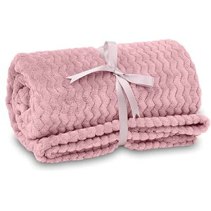 (X_[) ѕz Ђ| uPbg 唻 HD  ӂӂ _炩 }CNt@Co[ ېOK RۖhL h_jH ÓdCh~ H~ [΍ ĉK (100x150cm,sN)