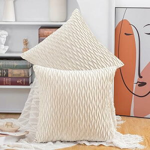 クッションカバー 2枚セット 北欧 柔らかい ビロード無地 背当て 装飾 枕カバー 座布団カバー ソファ用 寝室用 40 x 40 cm ベージュ