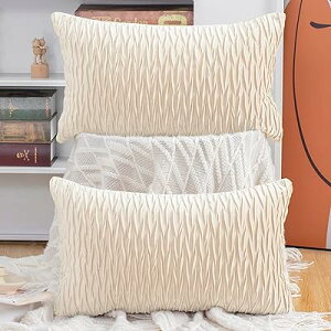 クッションカバー 2枚セット 北欧 柔らかい ビロード無地 背当て 装飾 枕カバー 座布団カバー ソファ用 寝室用 30 x 50 cm ベージュ