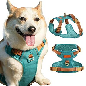  n[lX ^n[lX ^n[lX ^n[lX p  hbOEGA h~ Ԕ p \ ȒP  UiiuEXgbvj