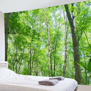 Ri Ǌ|  X z  Ǐ CeA _ @\ z|X^[ p[eB[ X   Mtg j (150x100cm)