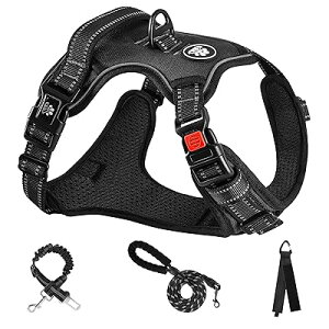  n[lX p ߉\ Ԕ ^/^/^ ʋC bV s⏕ U p y S  h~ hbO P Č Hc (ubN, XL)