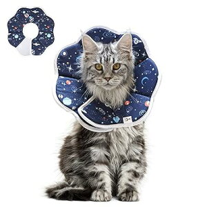 GUxXJ[ L p  Rbg \tg y L }WbNe[v pPA rߖh~ ~h~ ܐ؂ \ STCY