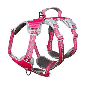  n[lX ^ ^ ^ pn[lX p Ȃ Eoh~ nh TCY\ Ԕ ȒPE \tg h U g[jOiMA[Ybhj