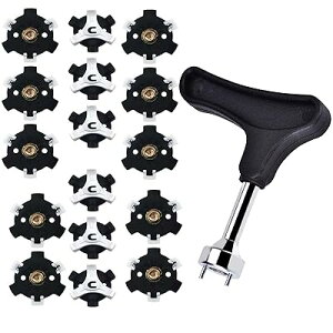 p StV[Y XpCNe St pXpCNe ~ ȒPE ()