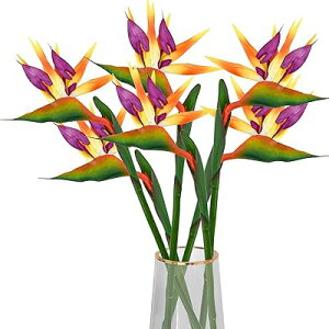 lHϗtA Ɋy  6{ A[eBtBVt[ CeAɊy Xg`Ả tFCNt[ K[h A tFCNt[ ͂Ȃ  o^C