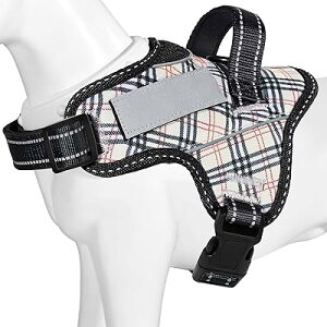 y{挢n[lXz p ^/^/^n[lX ΍ AɗD ȐF ʋC SȂ l[v[g 7FI(x[W`FbNAL)