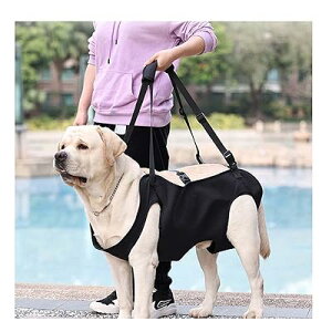 pn[lX s⏕ Vp s⏕n[lX s&⏕n[lX T|[gn[lX U gCyɕsT|[g ԂKi⏕ ߂₷^ ^ 