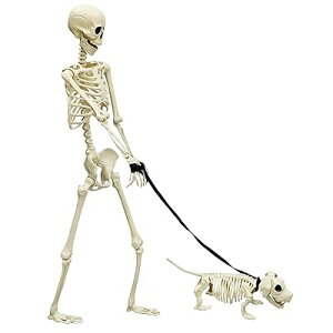 nEB [  165cmg{2_Zbg  ƒp u ݂艺 Bep nEB A z[ f