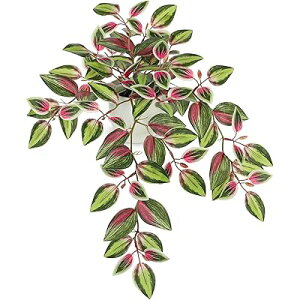 tFCNO[ CeA O[ lHϗtA  A  GAvc Vzj JXj VN NX}X ItBX X  (ȎIisNj)