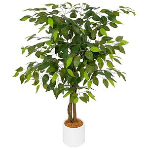 tFCNO[ ^ tA tFCN lHtA G}  sv ȒP C L R Vv   CeA ^ lH A t j 