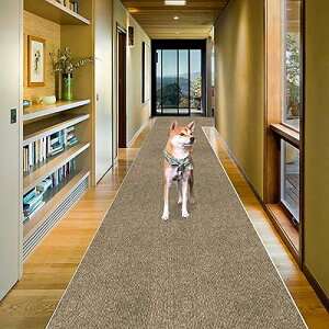 J[ybg O L J[ybg^CJ[ybg L~J[ybg 240 60cm O}bg J[ybg~ߏ J[ybg O~ t}bg 􂦂 h ~ }bgL