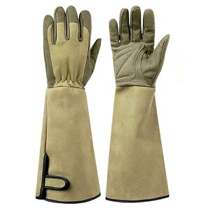 O[C |p K[fO[u op  |pi K[fjO ϐh gQh~ hȂ Ɨp K[fjOpi