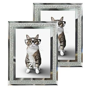 ʐ^ 2l LL tHgt[ 2 Zbg KX X^h 蕨 j v[g