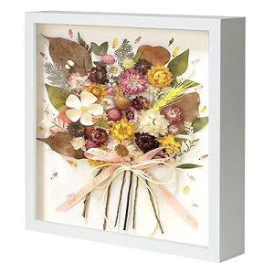 z ̊z {bNXt[ tHgt[ F Ǌ|  j zCg uOa 276 x 276 x 45 MM a 244 x 244 x 25 MMv